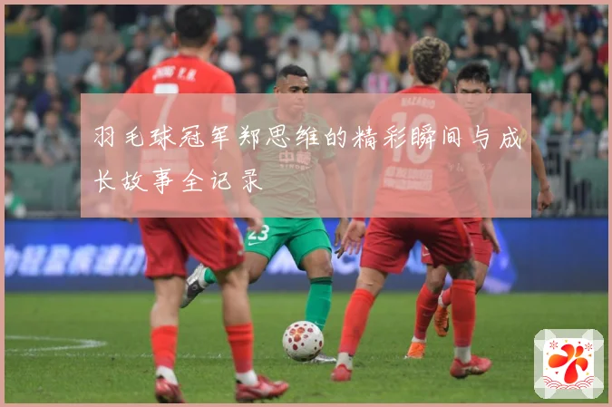 羽毛球冠军郑思维的精彩瞬间与成长故事全记录